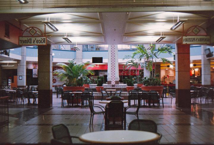 An empty mall food court with tables and chairs is visible, surrounded by various storefronts and potted palm trees.