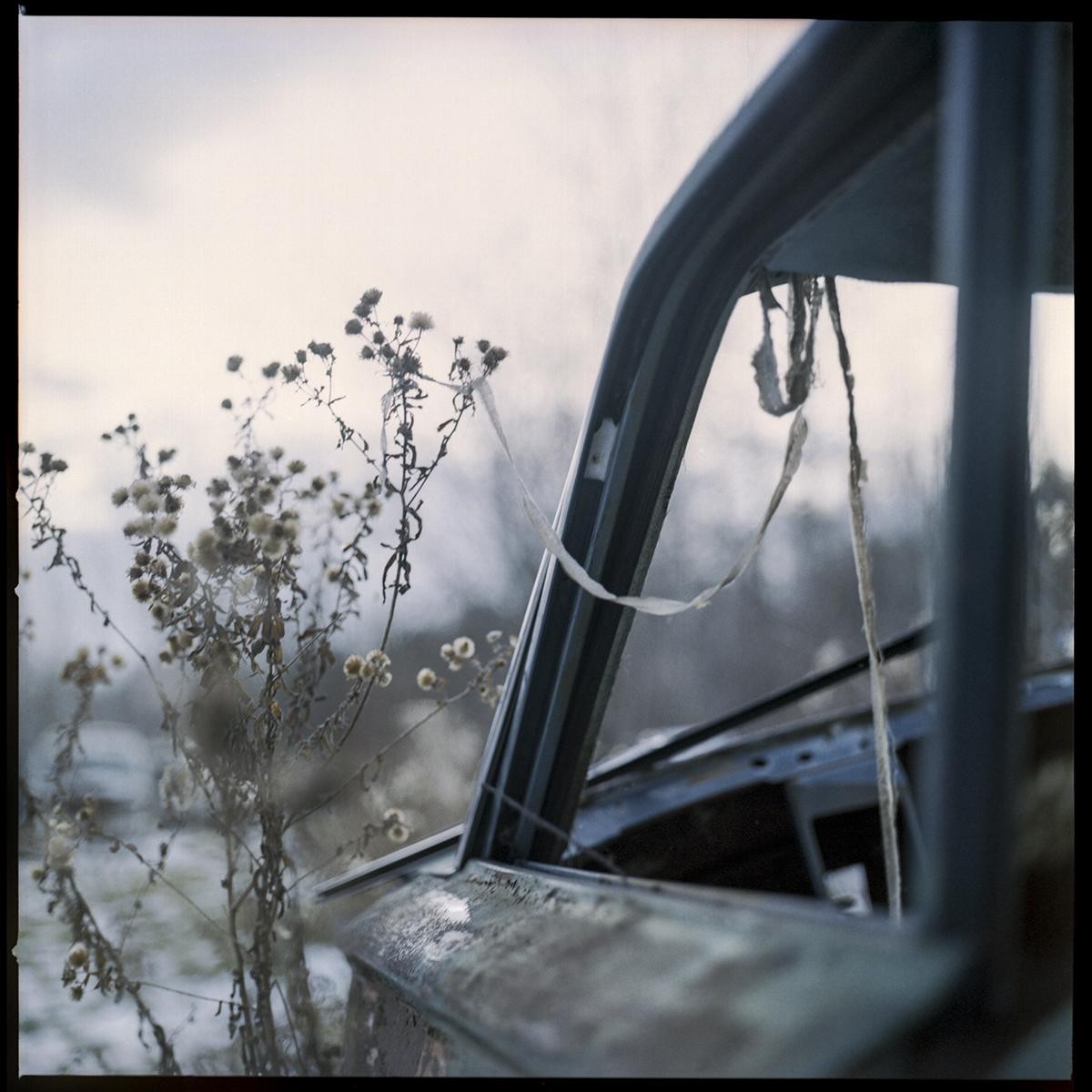Dried weeds grow next to the open door of a rusty, abandoned vehicle.