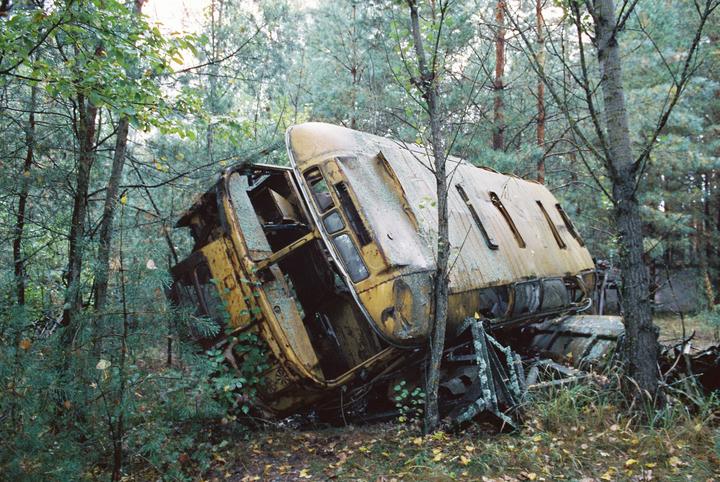 A derelict train car lies overturned and partially submerged in overgrown foliage within a forest.