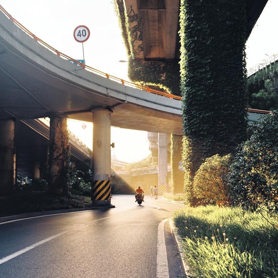 A person rides a scooter on a road under a highway overpass with lush green foliage.