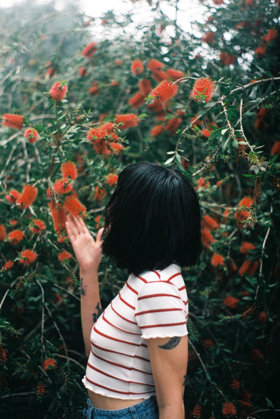 A woman with short dark hair and a striped shirt reaches out to touch red bottlebrush flowers.