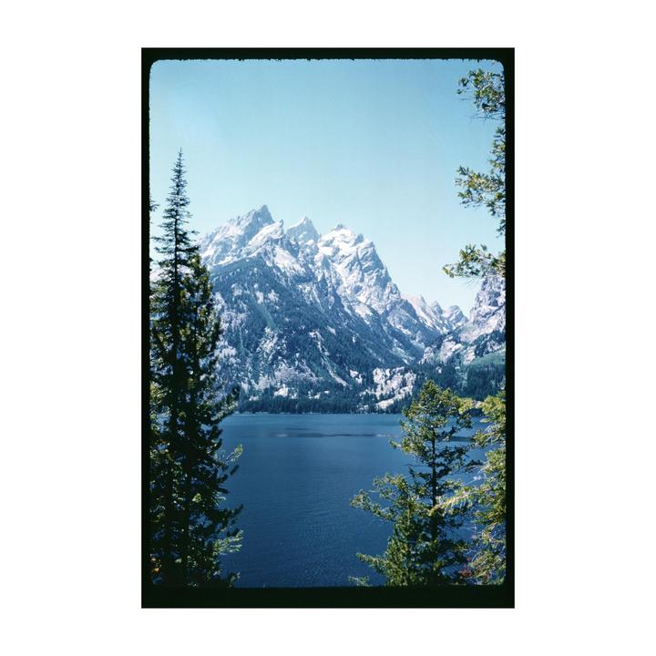 A lake is visible between two tall pine trees, with snow-capped mountains in the background.