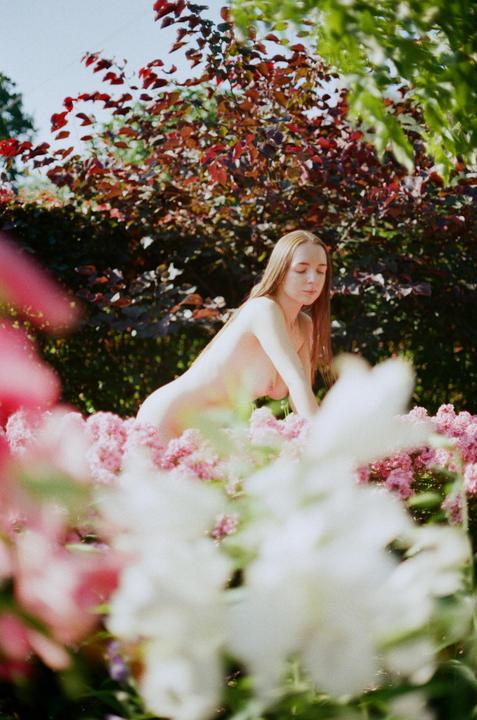 A woman with long hair is kneeling among pink flowers with green and red foliage in the background.