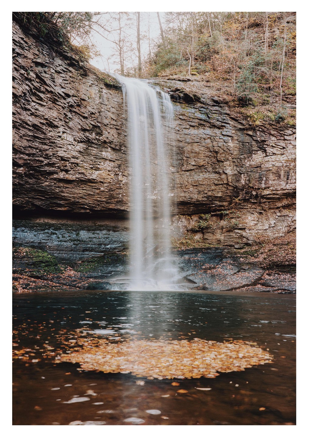 A long exposure shot captures a waterfall cascading into a pool of water with autumn leaves floating on the surface.