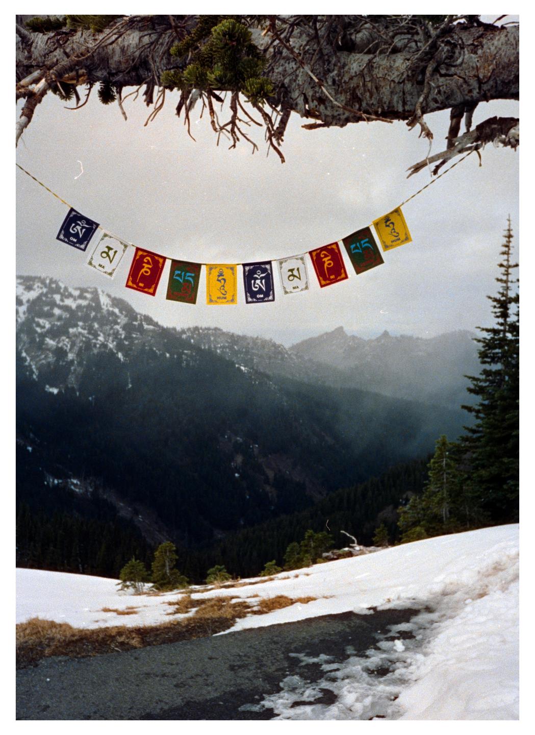 Prayer flags hang from a tree branch over a snowy mountain landscape with a valley and evergreen trees.