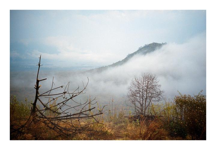 A misty mountain landscape features a bare tree in the foreground and a fog-shrouded peak in the distance.