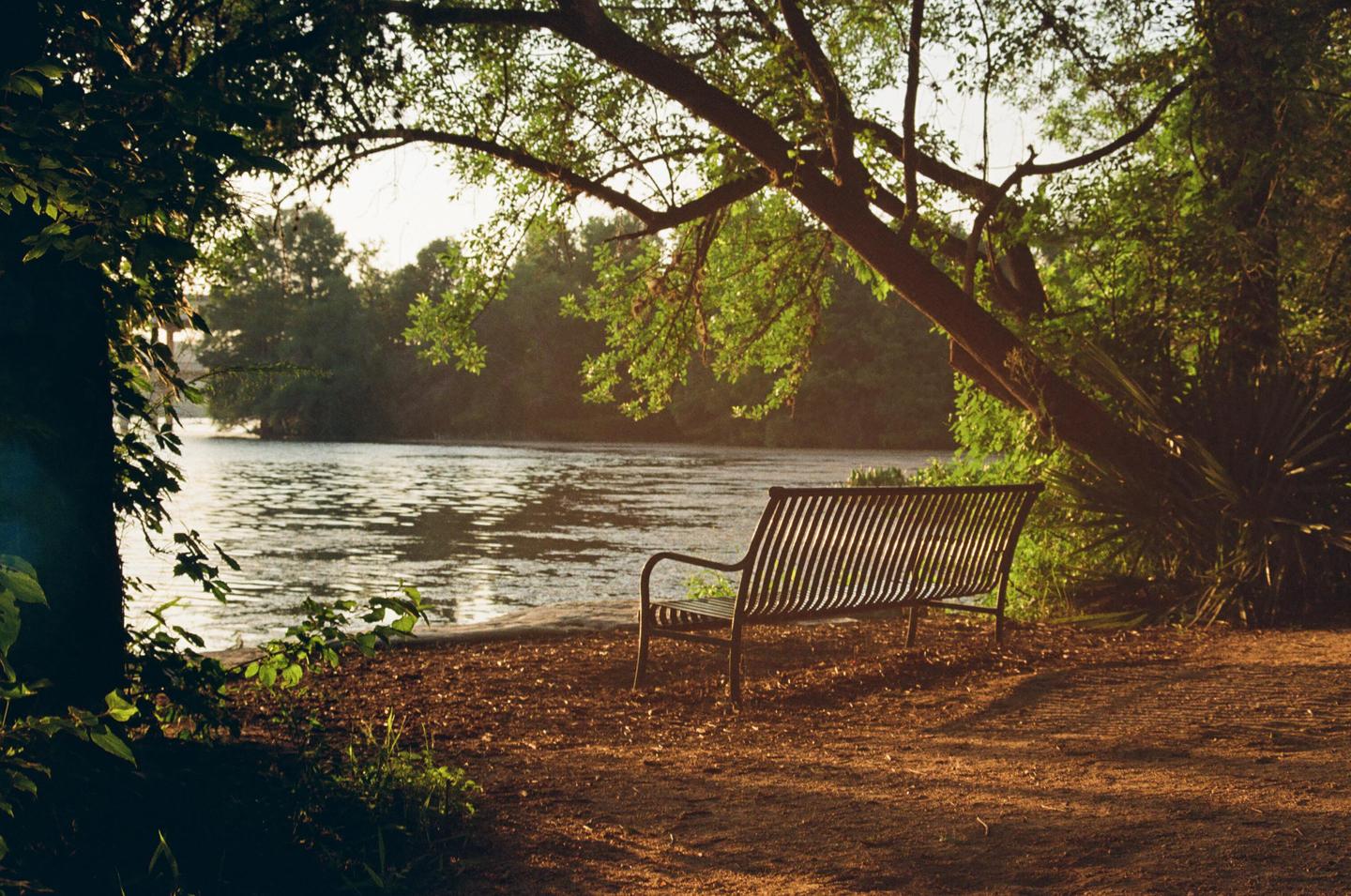 A metal bench sits on a dirt path next to a body of water, surrounded by trees and foliage.
