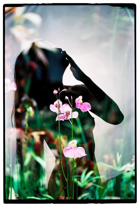 A woman's silhouette is visible through a double exposure with pink flowers and green foliage.
