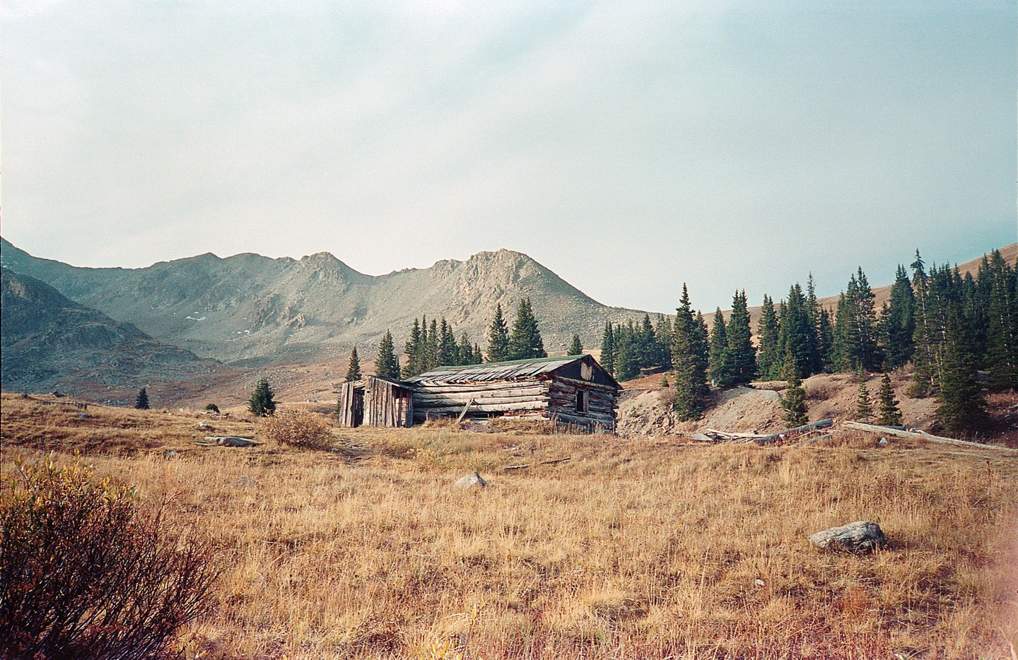 An old wooden cabin sits in a field with mountains and pine trees in the background.