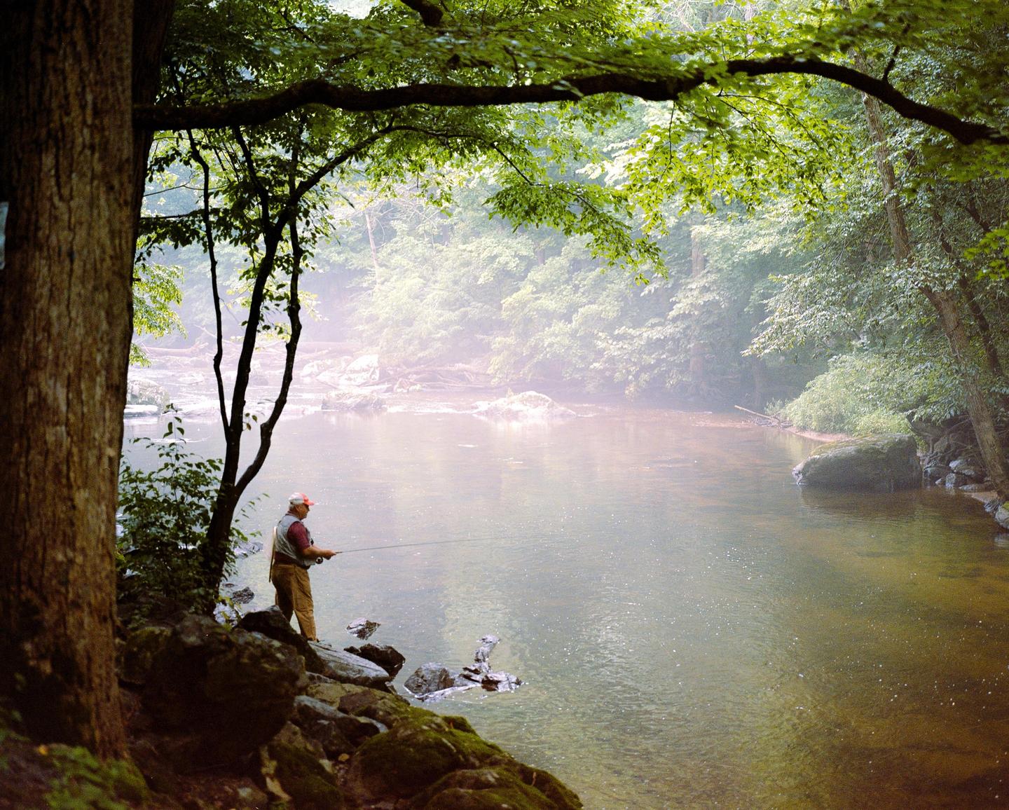 A man stands on rocks at the edge of a river, fishing with a rod, surrounded by lush green trees and a hazy atmosphere.