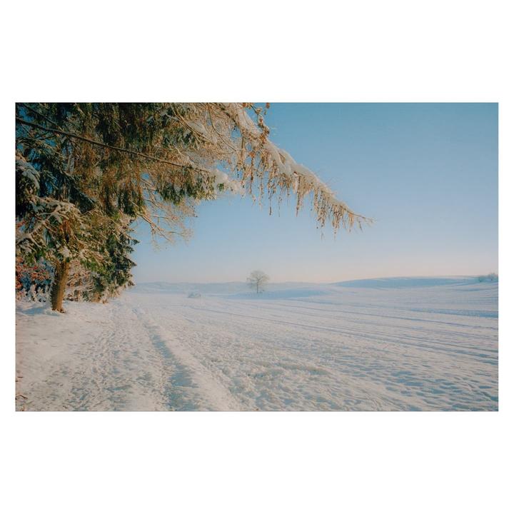 A snow-covered field stretches into the distance under a clear sky, with a snow-laden tree branch hanging in the foreground.