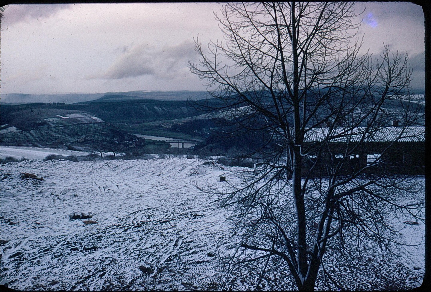 A snow-covered field with a bare tree in the foreground and a valley with a river and bridge in the background.