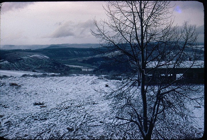 A snow-covered field with a bare tree in the foreground and a valley with a river and bridge in the background.