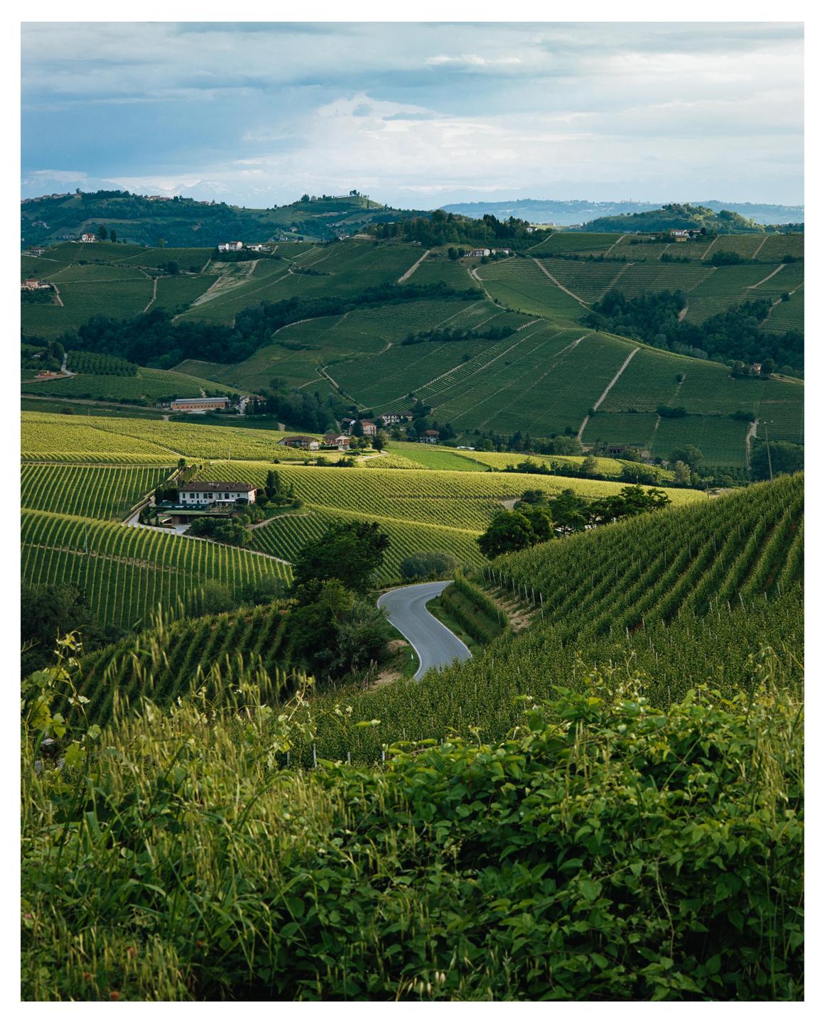 A winding road cuts through a valley filled with vineyards and scattered buildings under a cloudy sky.
