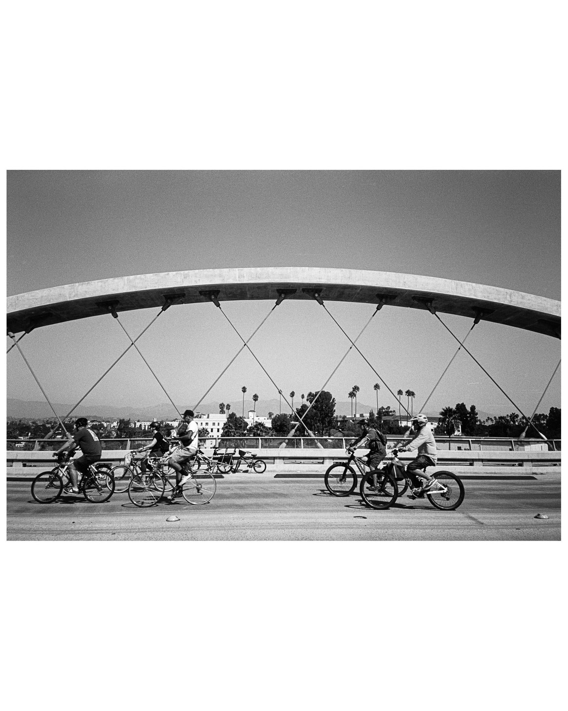 Several people ride bicycles across a bridge with palm trees and buildings in the background.