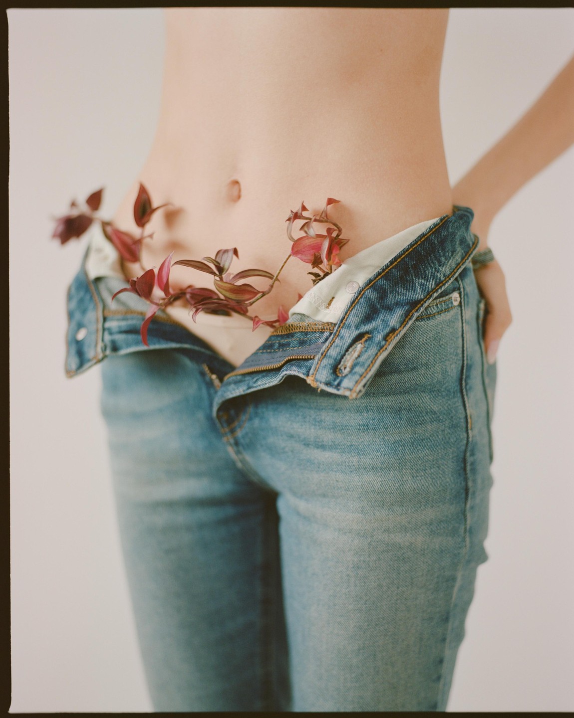A person's midsection is visible with unzipped jeans and red foliage tucked into the waistband.