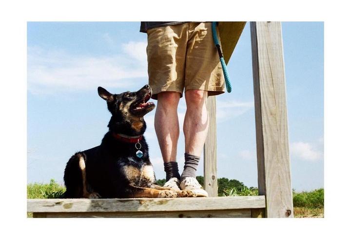 A dog sits on a wooden platform looking up at a man standing next to it.