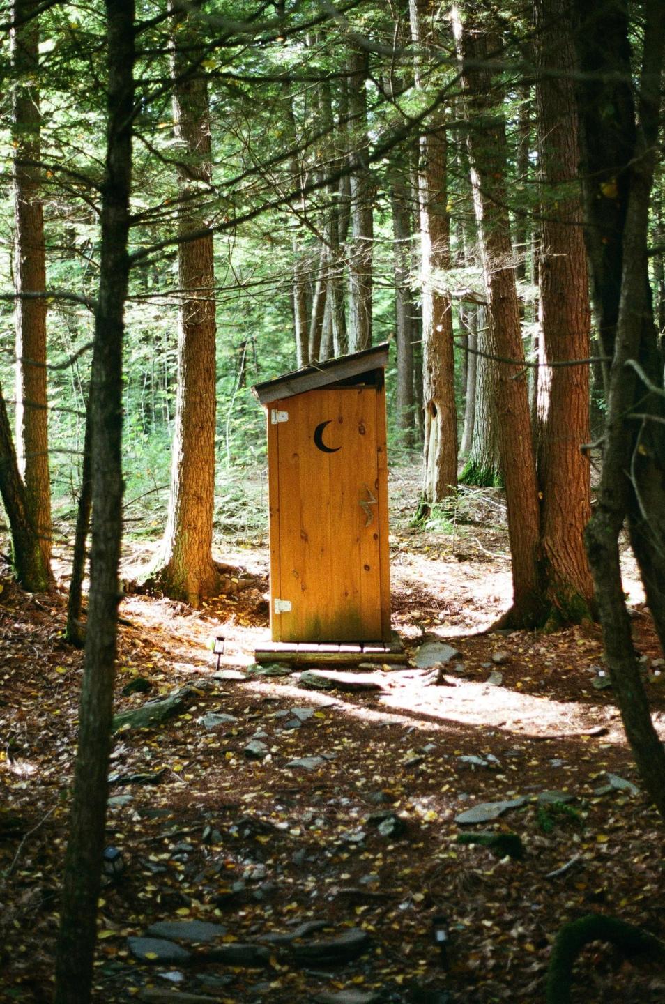 A wooden outhouse with a crescent moon cutout on its door stands in a sun-dappled forest.
