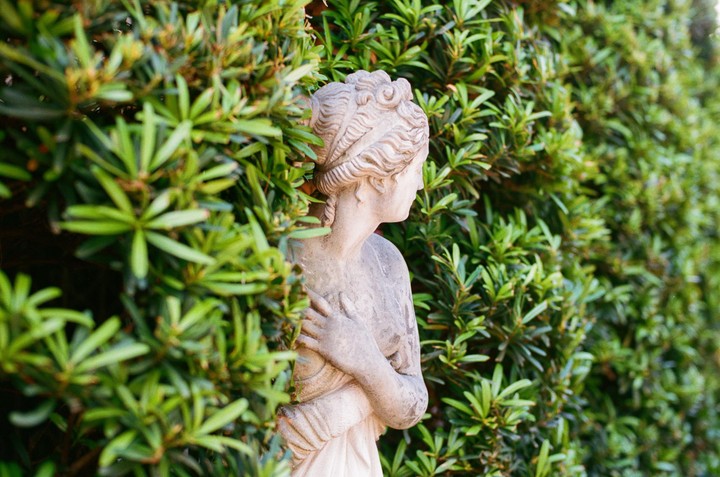 A stone statue of a woman is partially hidden by green foliage.