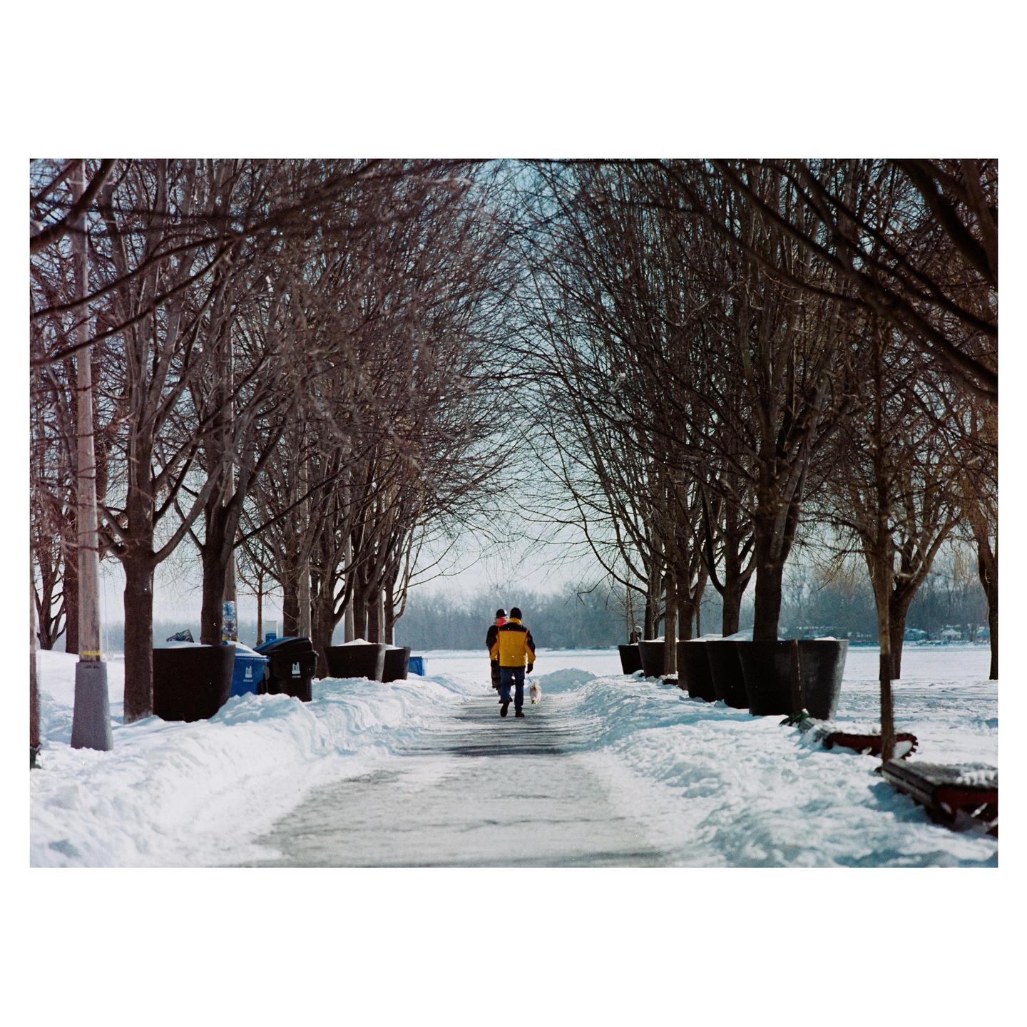 A man walks a small dog down a snow-covered path lined with bare trees.