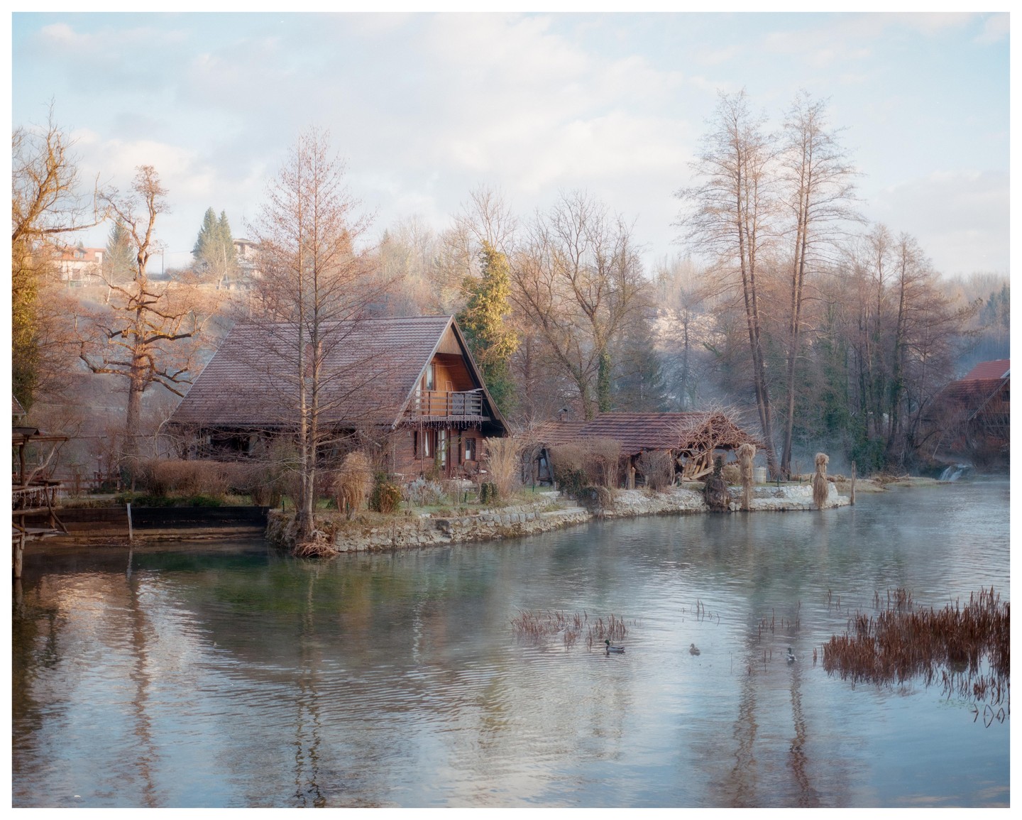 A wooden house with a balcony stands on the bank of a river with ducks swimming in it, surrounded by bare trees.