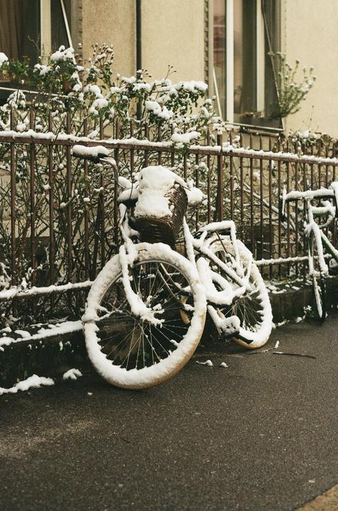 A bicycle covered in snow is parked next to a fence with snow-dusted bushes in front of a building.