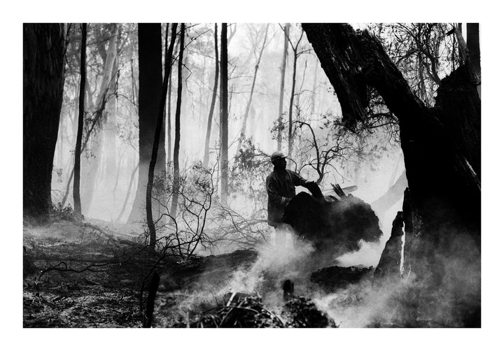 A man in a hard hat stands among smoldering trees in a hazy forest.