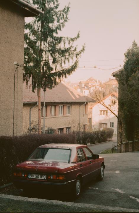 A red car is parked on a street next to a building and a large evergreen tree.
