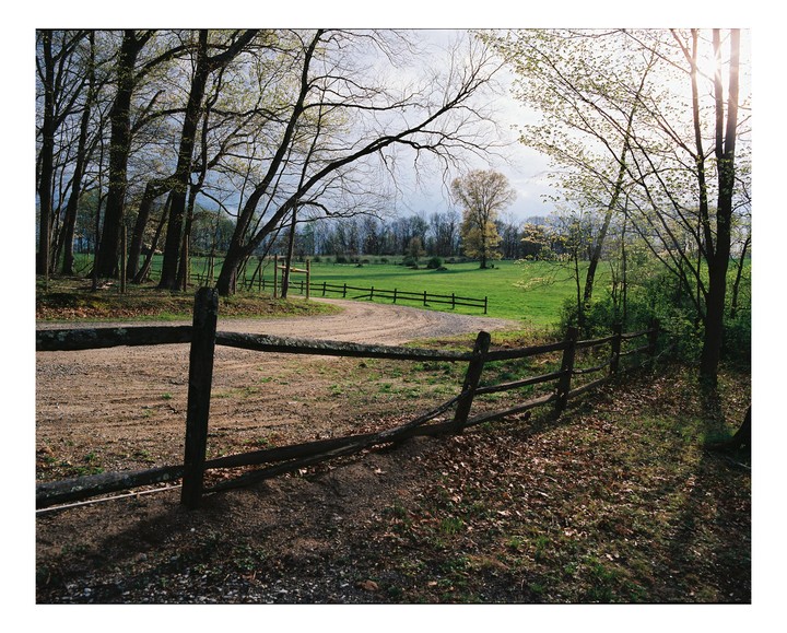A wooden fence runs alongside a dirt road that curves into a green field surrounded by trees.