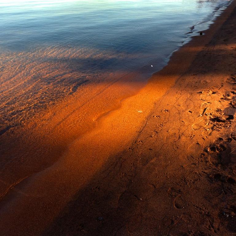 The edge of a body of water meets a sandy shore with animal tracks.