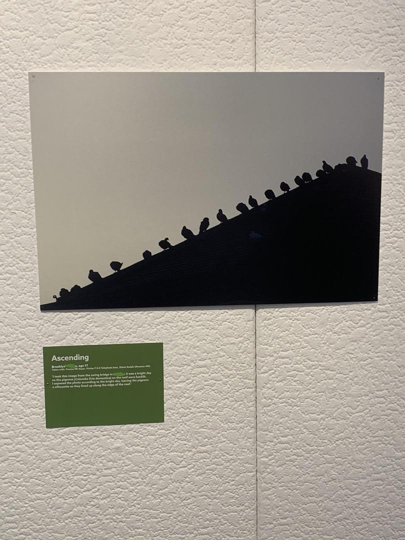 Got my first camera for Christmas and now my work is in a gallery!, shot on PENTAX ME SUPER