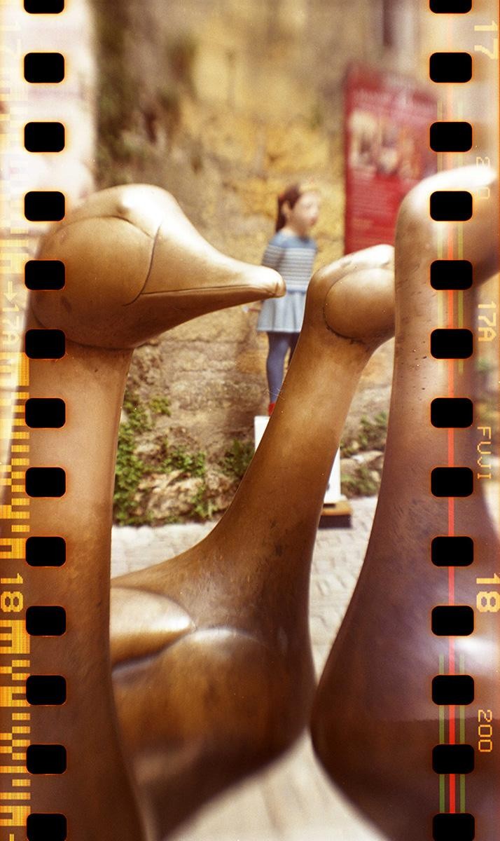 A child stands behind two large bronze goose statues.