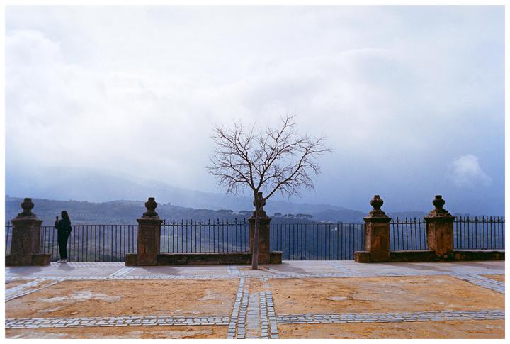 A person stands on a stone patio with a bare tree and a metal fence overlooking a valley under a cloudy sky.