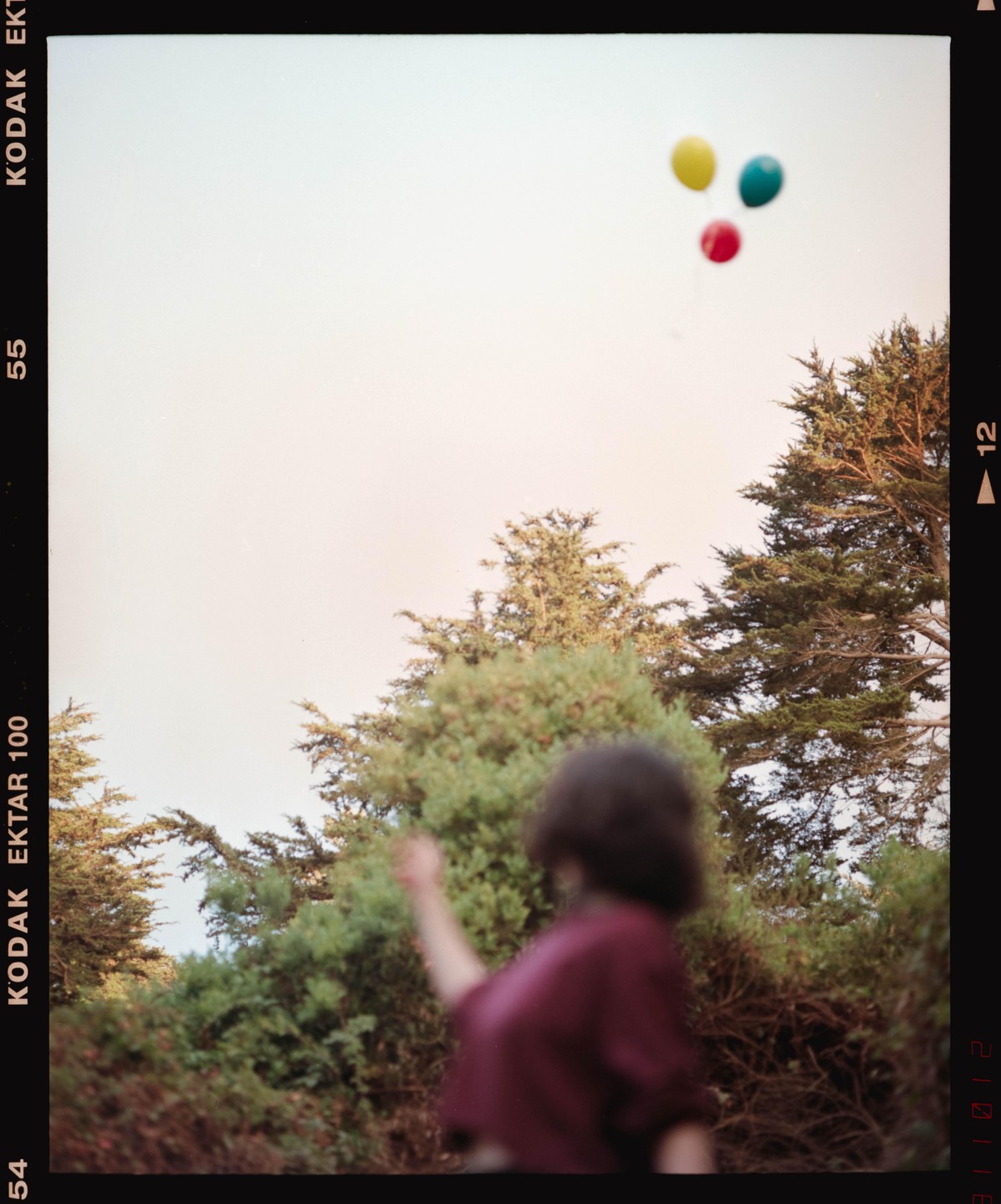 A person with dark hair and a maroon shirt reaches up towards three colorful balloons floating in the sky above green trees.