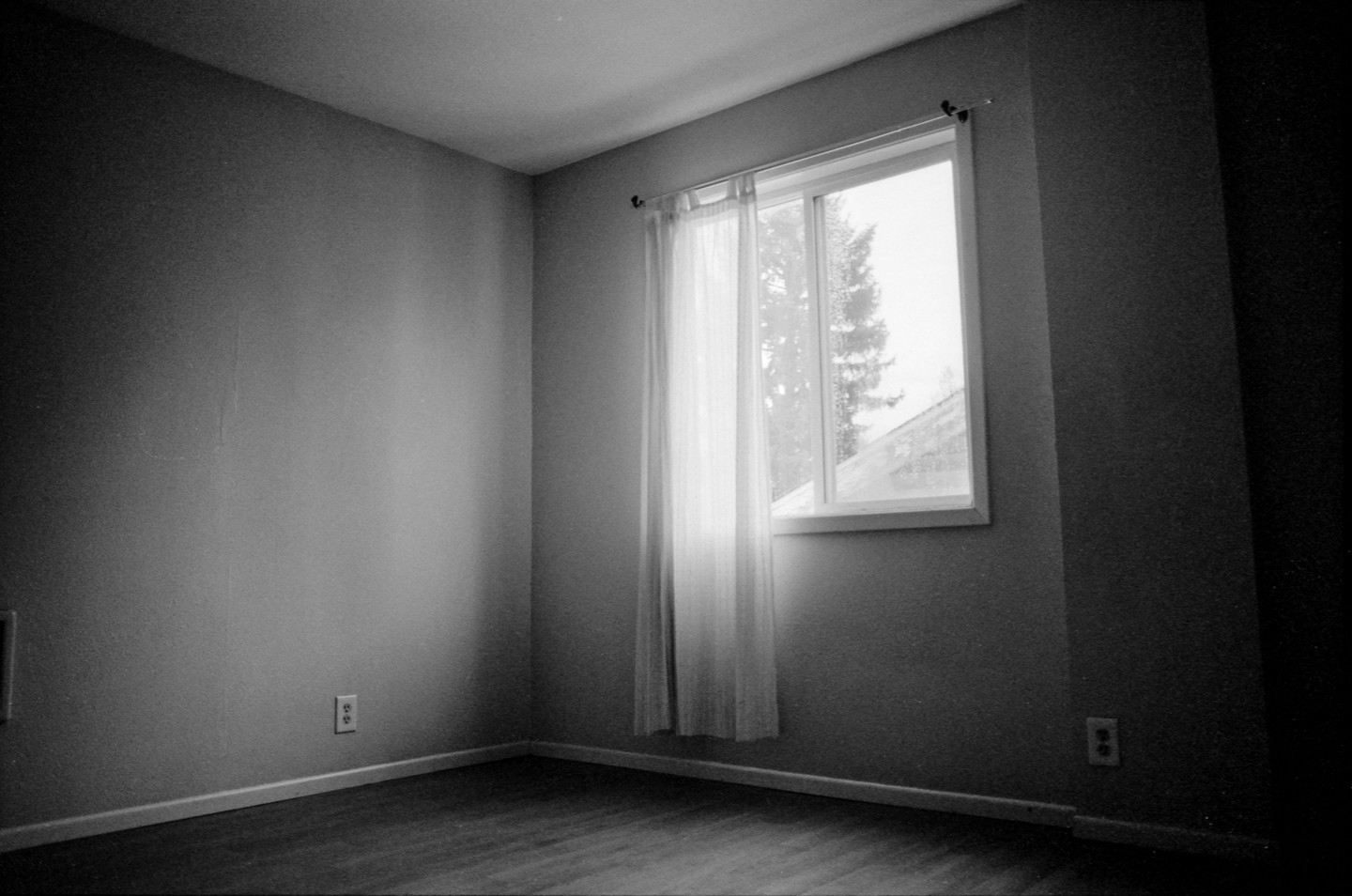 A black and white photo shows an empty room with a window covered by a sheer curtain, revealing a tree and a roof outside.