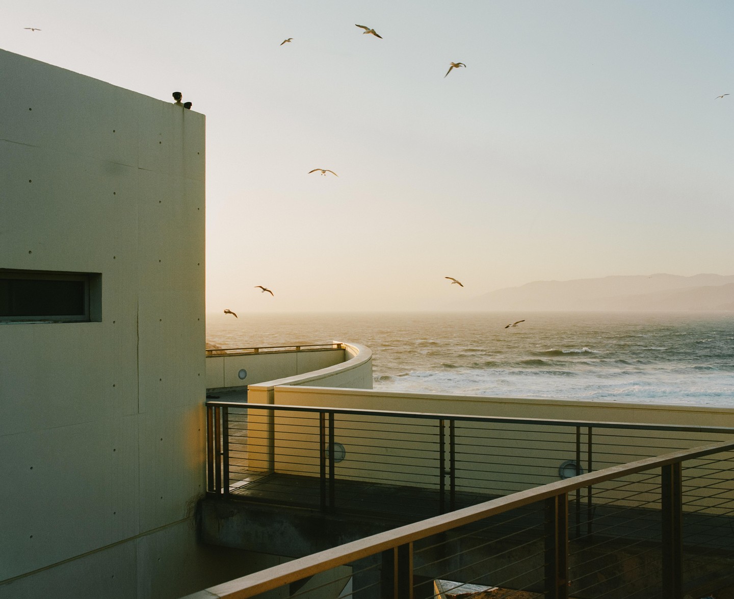 A modern building with a curved balcony overlooks a choppy ocean with mountains in the distance and several birds flying in the sky.