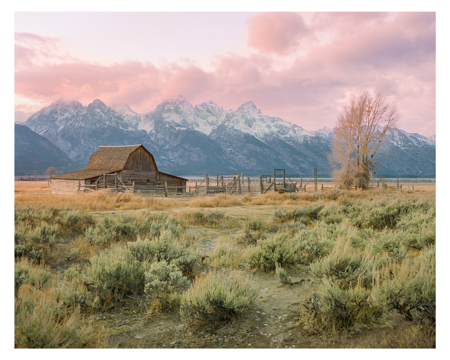 A wooden barn stands in a field with snow-capped mountains and a pink sky in the background.