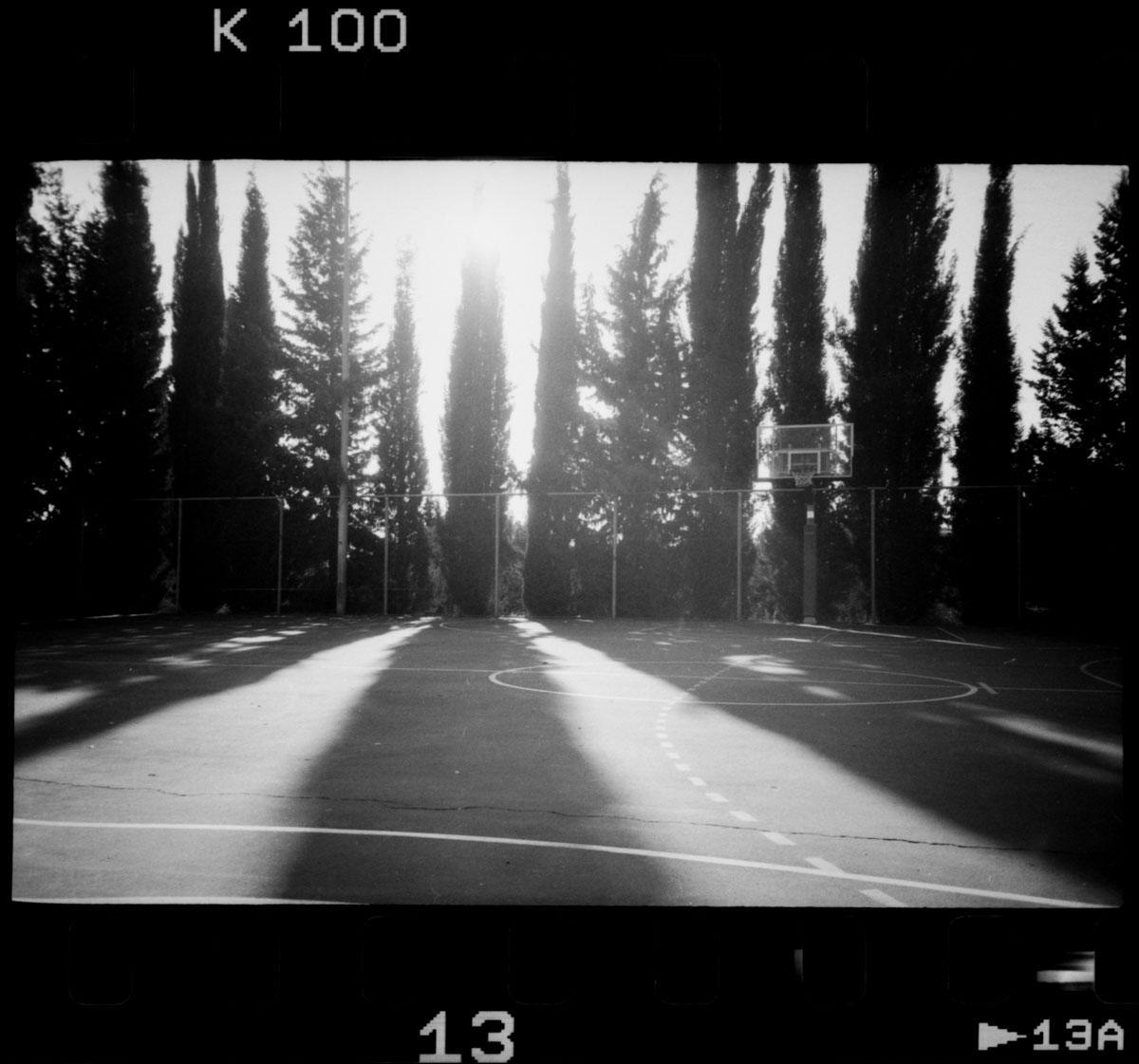 A basketball court is visible with tall trees and a fence in the background, casting long shadows across the court.