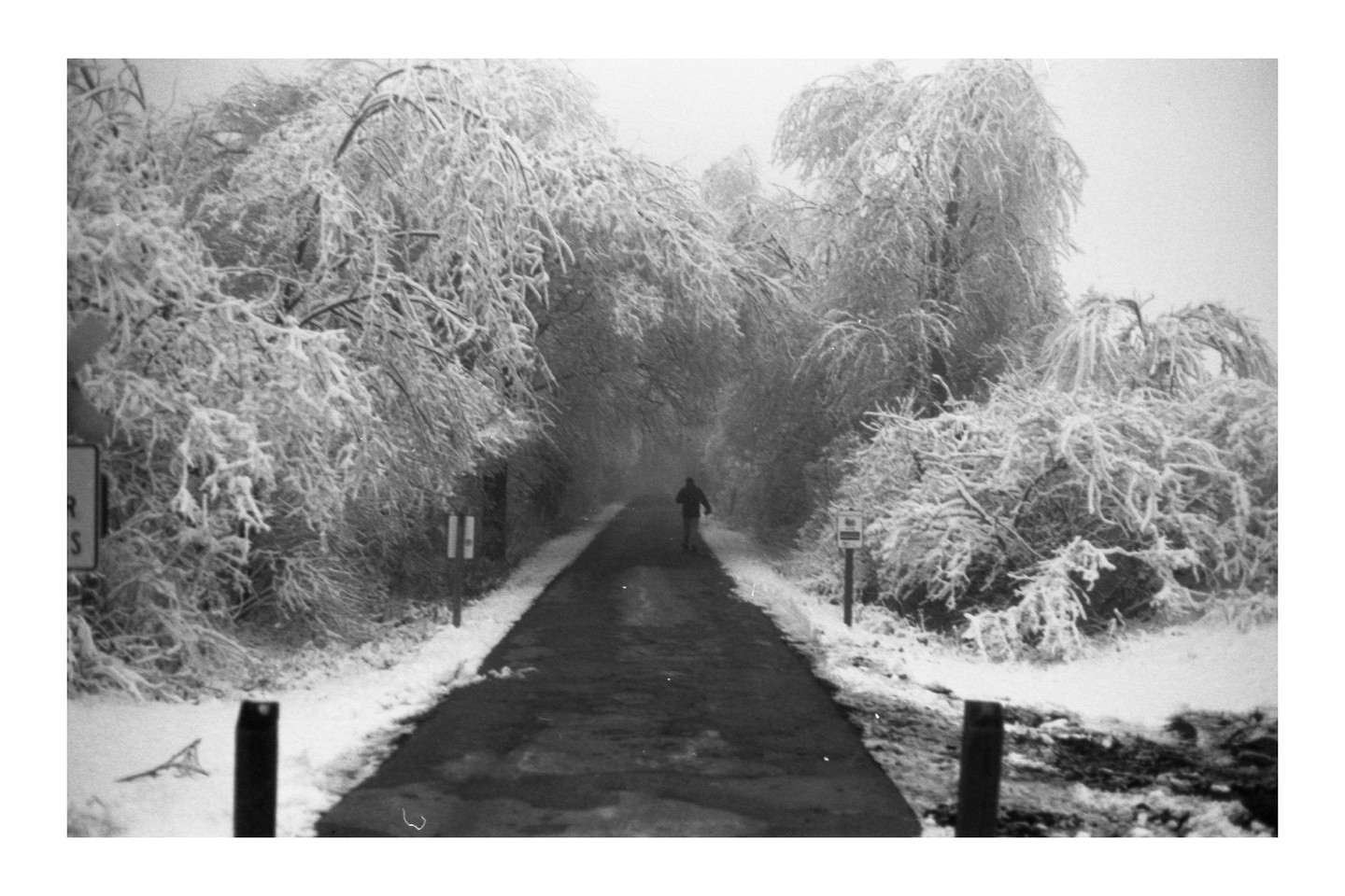 A person walks down a snow-covered road lined with snow-laden trees.
