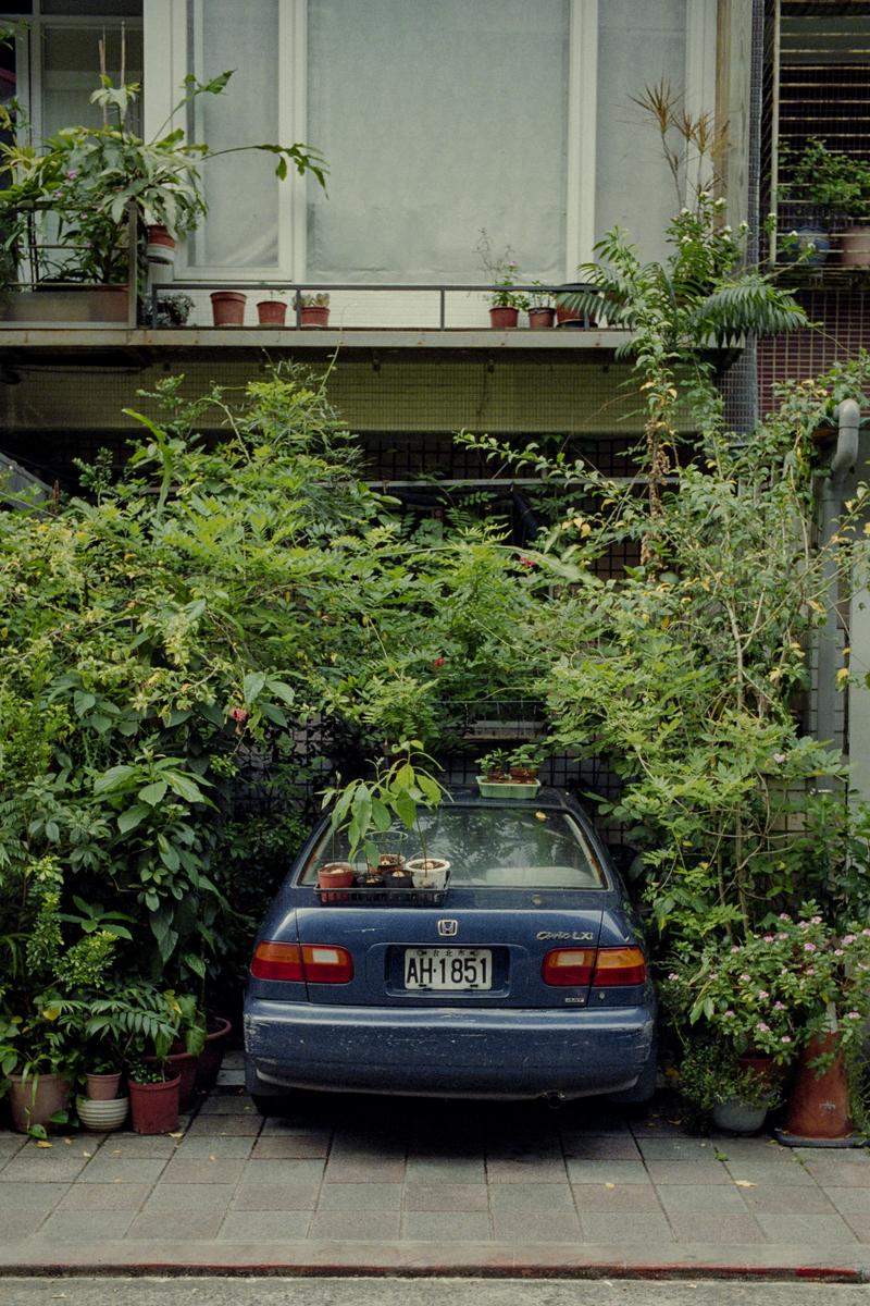 A blue car is parked in a driveway surrounded by lush green plants and potted plants on its trunk and on a balcony above.
