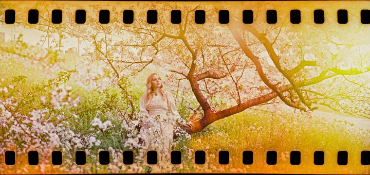 A woman stands among white blossoms and green foliage under a tree with white blossoms.