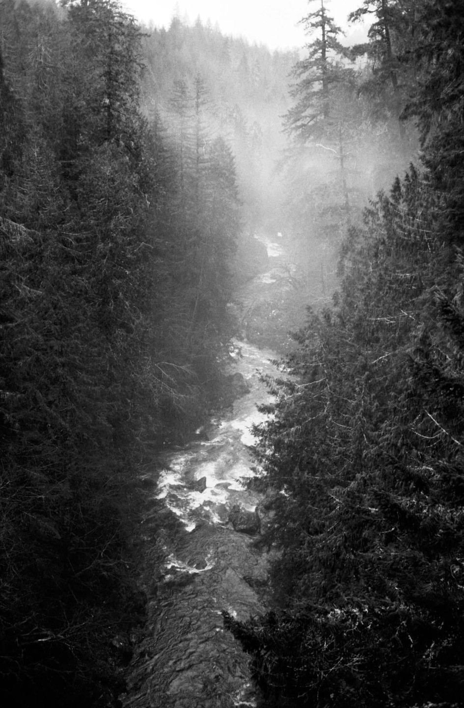 A river flows through a dense forest on a hazy day.