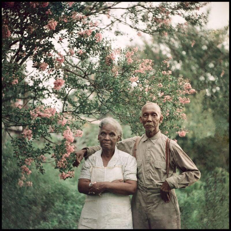 A couple stands outdoors with a flowering tree behind them.