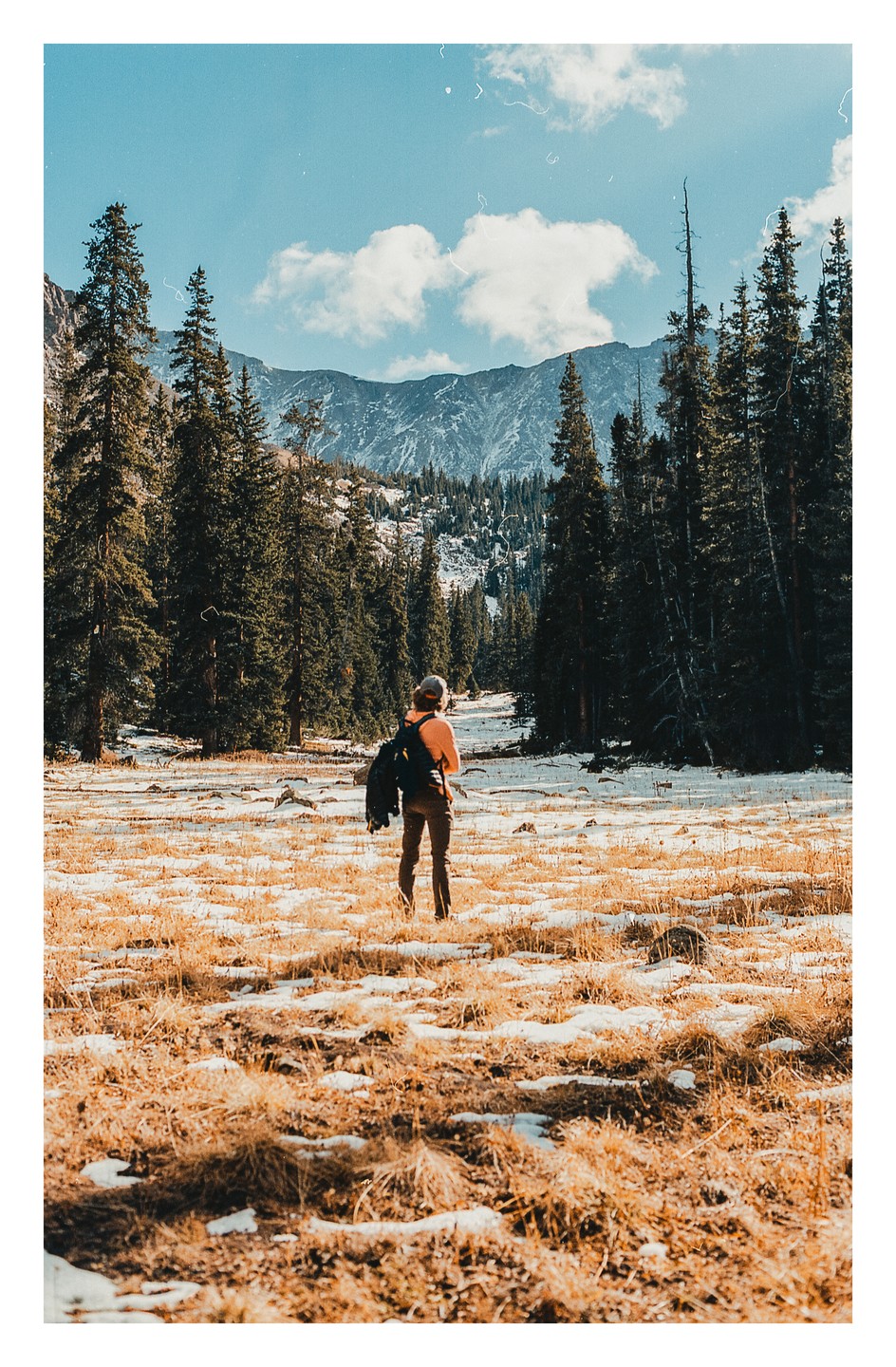 A person stands in a field of dry grass and snow, looking towards a forest and mountains under a blue sky with clouds.