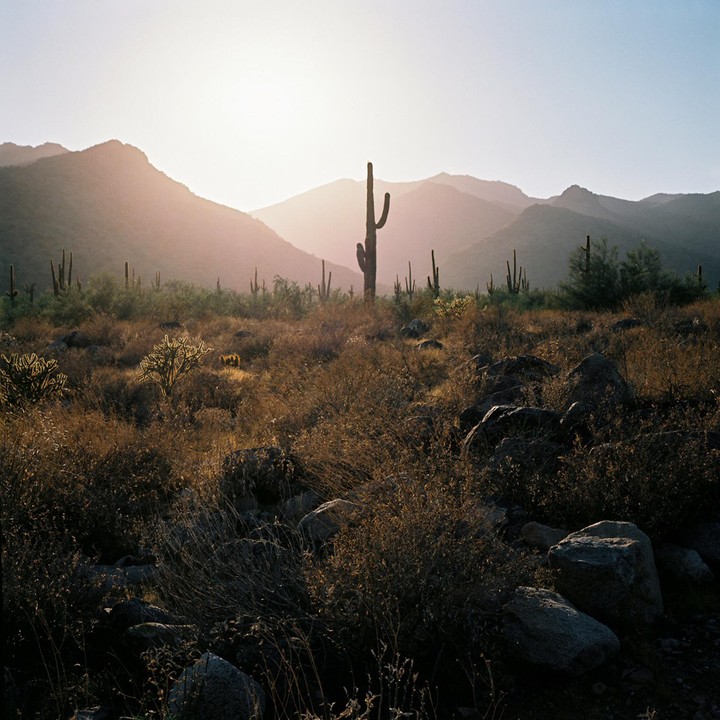 The sun shines over a desert landscape with mountains and saguaro cacti.