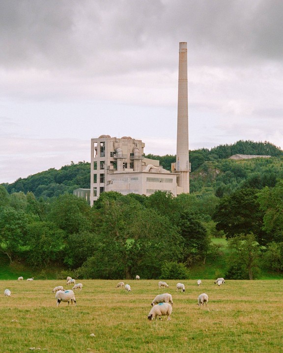 Sheep graze in a field with a large industrial building and smokestack in the background.