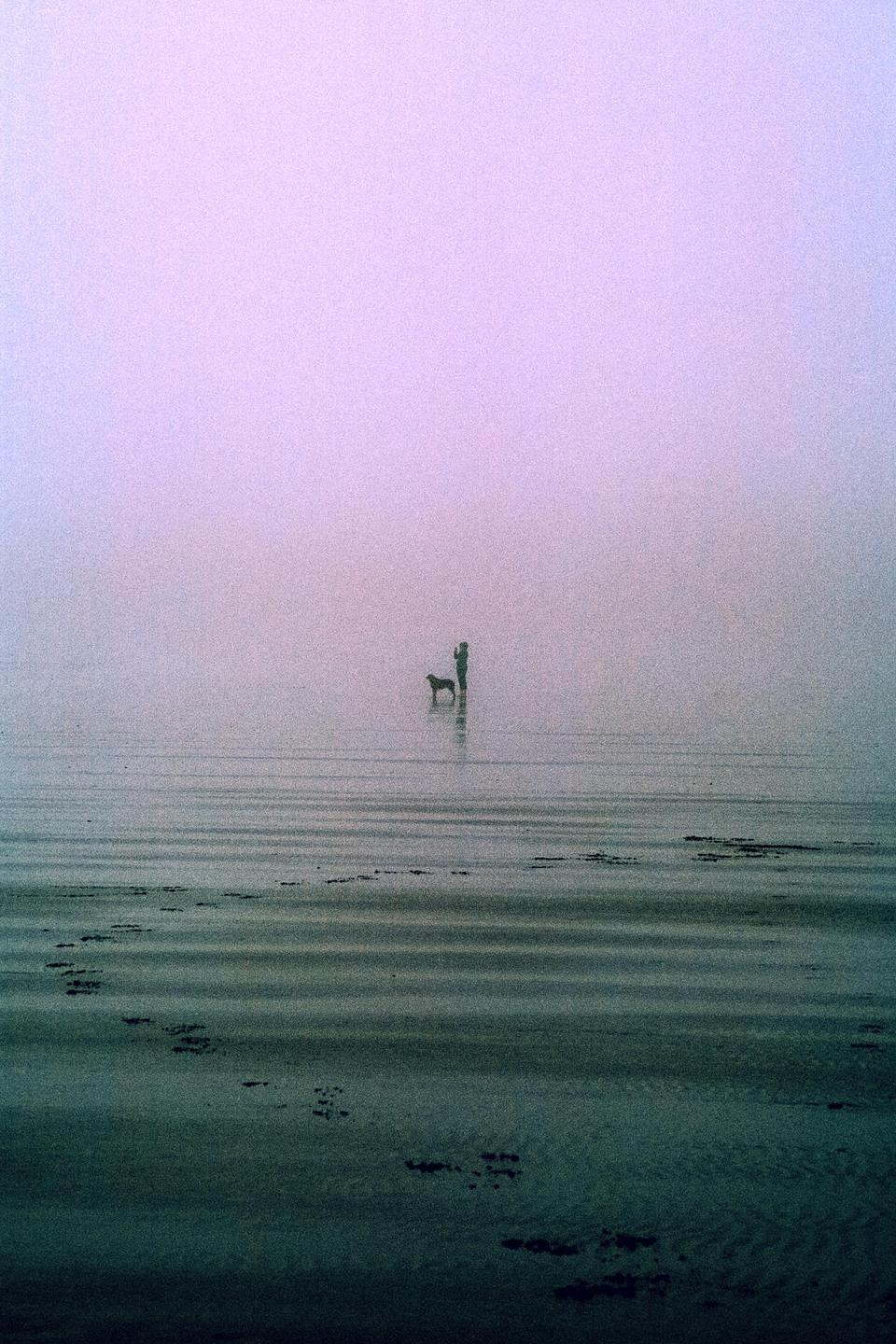 A person and a dog stand in shallow water on a misty beach.
