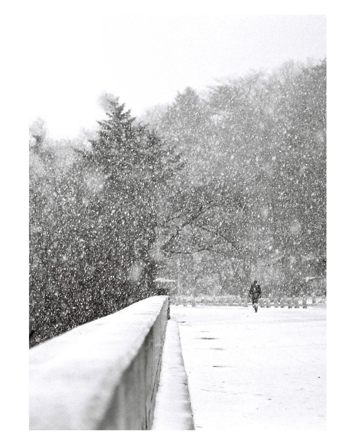 A person walks on a snow-covered path next to a low wall with trees in the background during a snowfall.