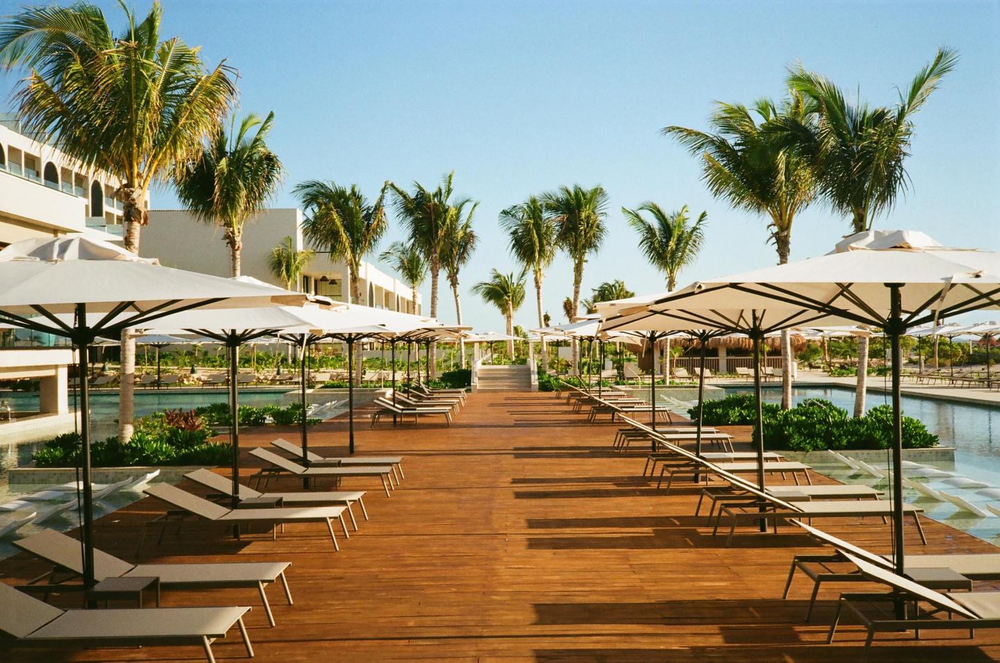 A long wooden deck with rows of lounge chairs and umbrellas leads to a building and palm trees.