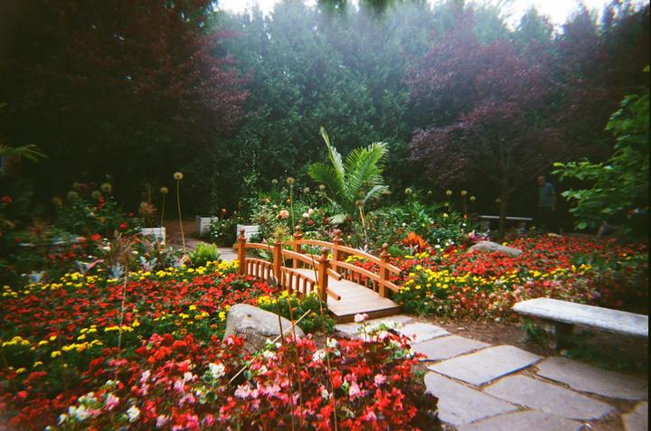 A small wooden bridge crosses a path in a lush garden filled with red and yellow flowers.